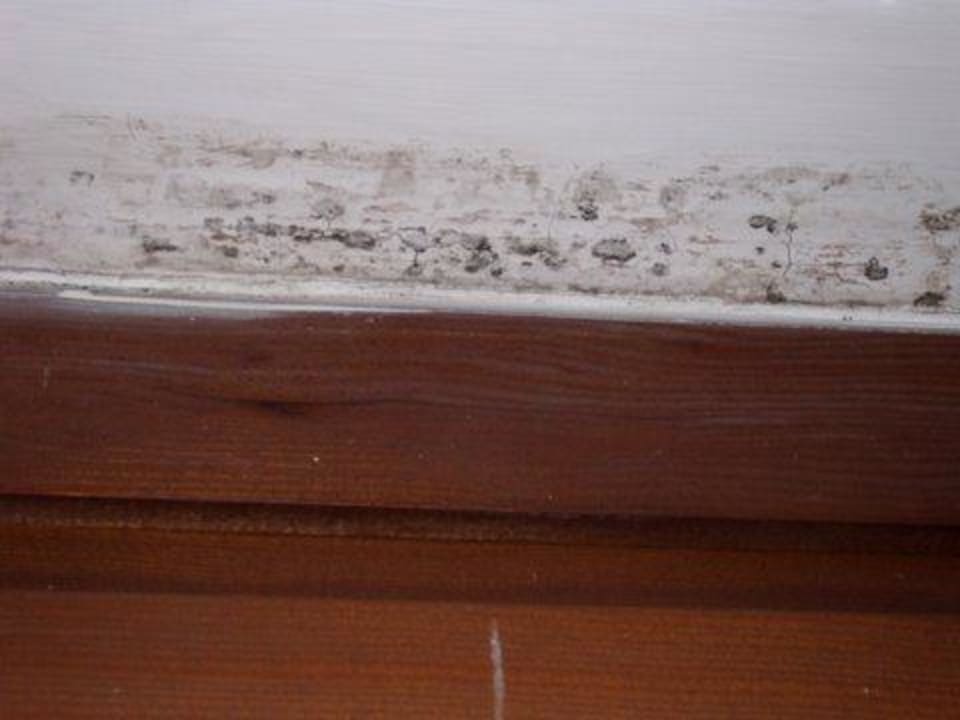 Schimmel Hotel Col Alto