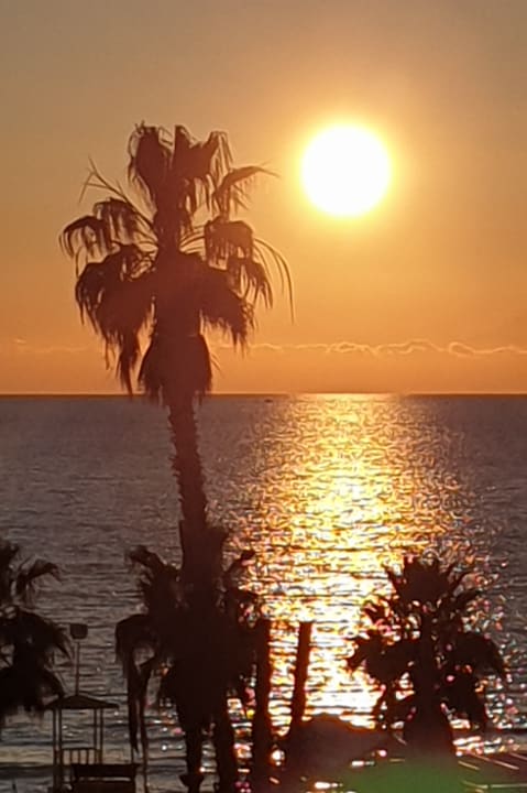 Strand Side Star Beach