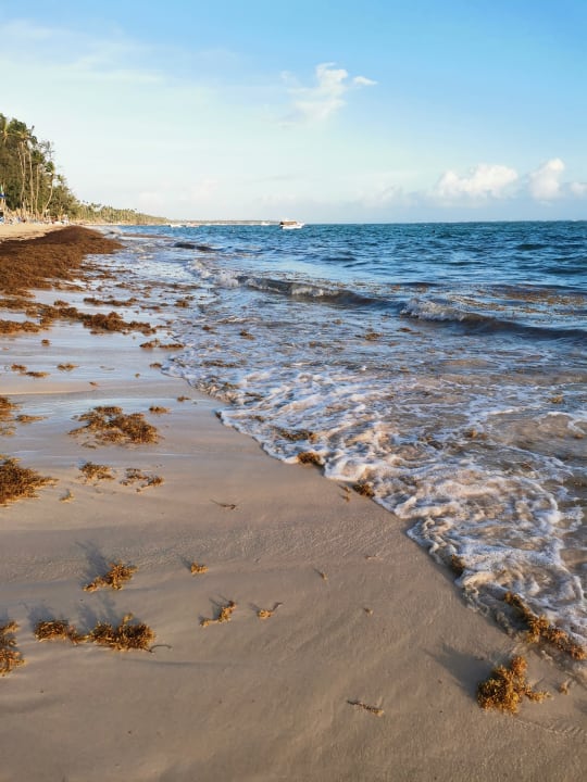 Strand Vista Sol Punta Cana