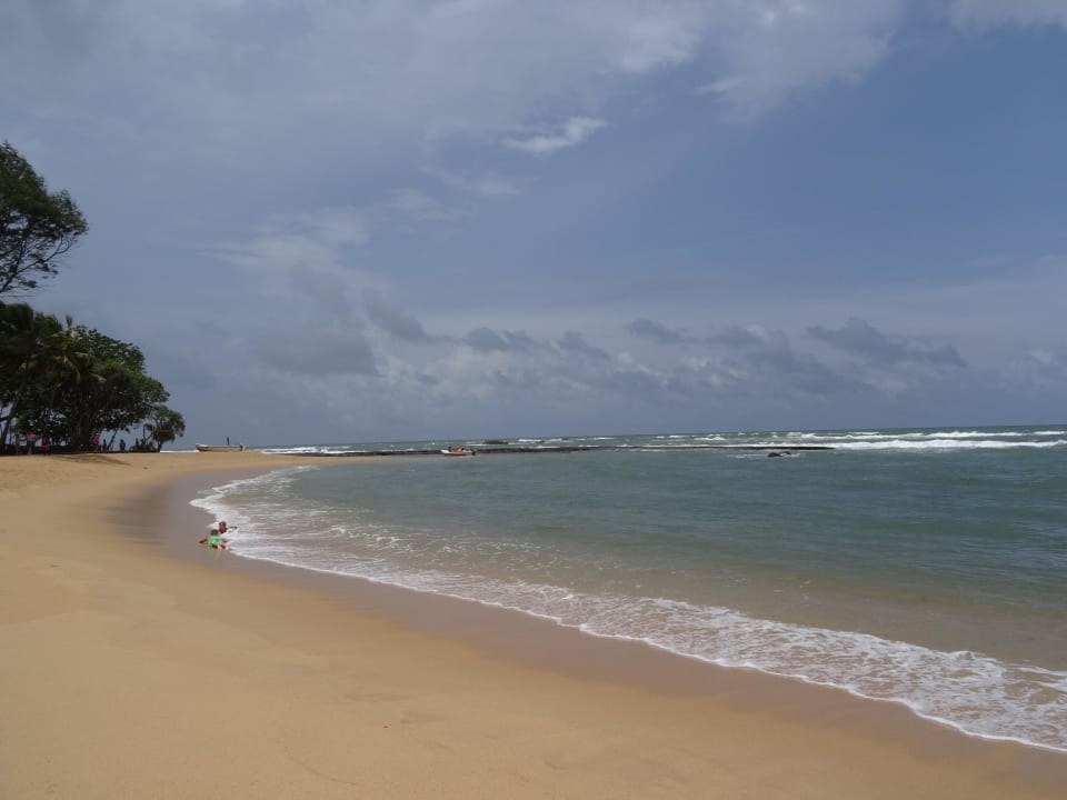 Viele Wellen Earl’s Reef Beruwala