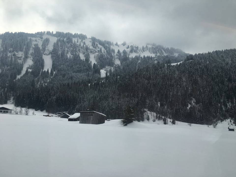 Ausblick Jungbrunn - Der Gutzeitort