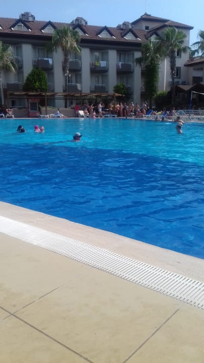 Pool Hotel Orfeus Park