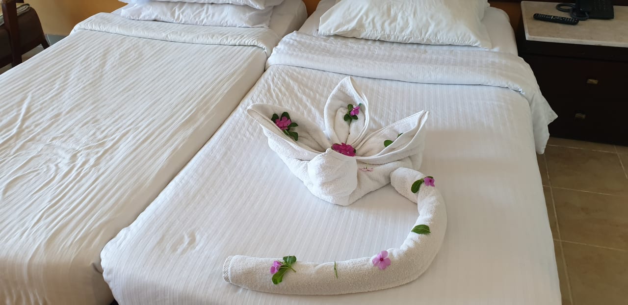 Zimmer Coral Sun Beach