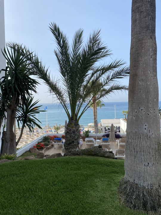 Ausblick Hotel Riu Monica - Adults only