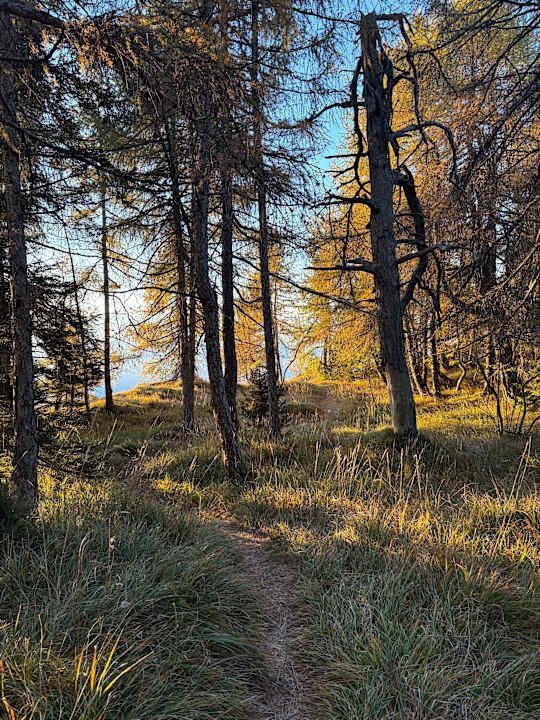 Sonstiges Panoramahotel Penegal