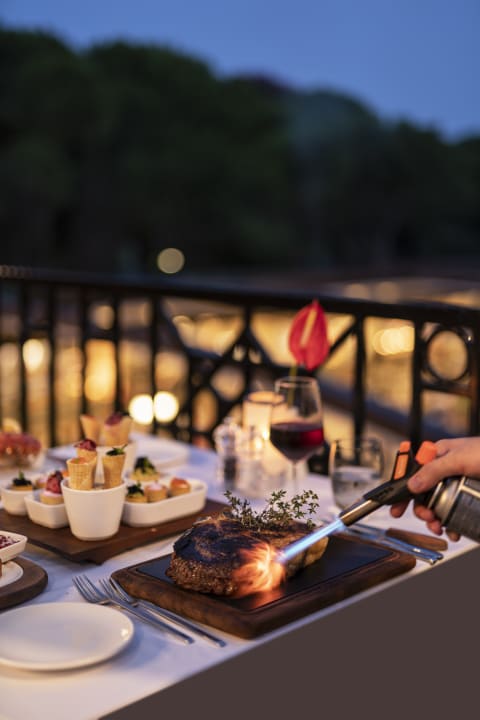 Gastro Papillon Ayscha