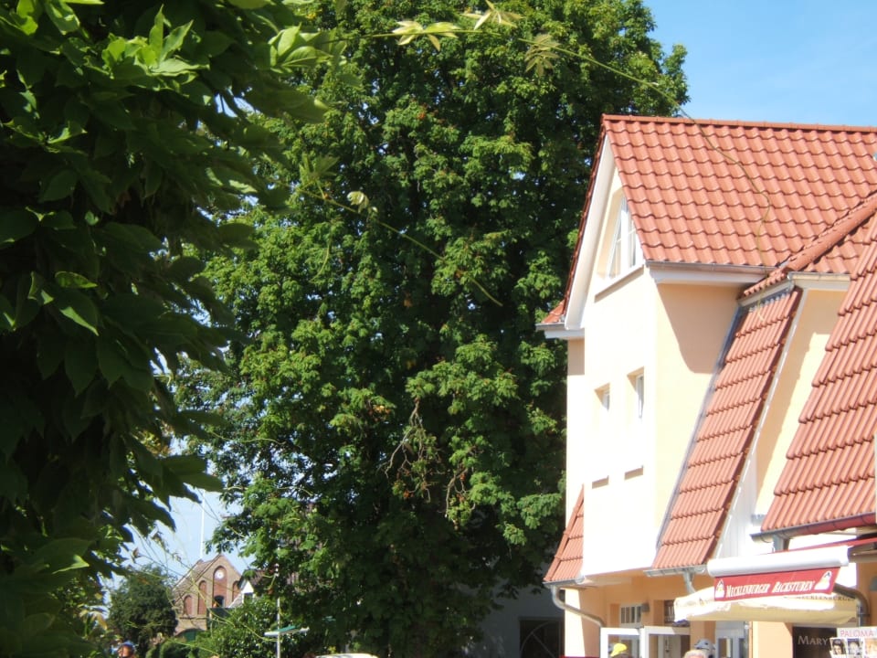 Außenansicht Ferienwohnung Seewolf