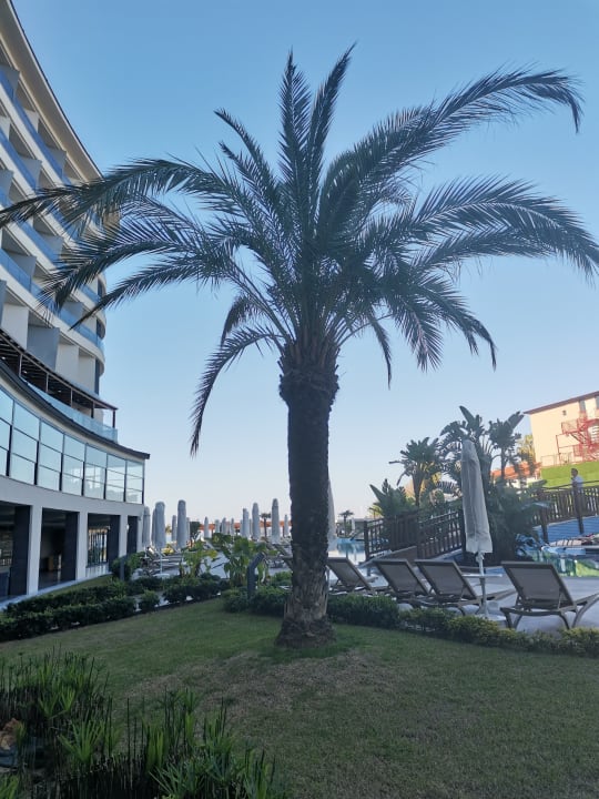 Gartenanlage Seaden Quality Resort & Spa