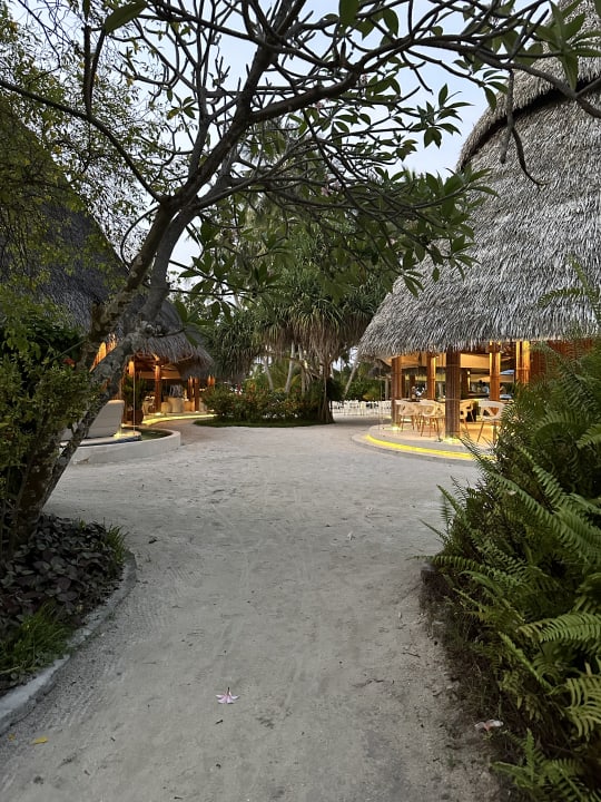 Gastro Kuramathi Maldives