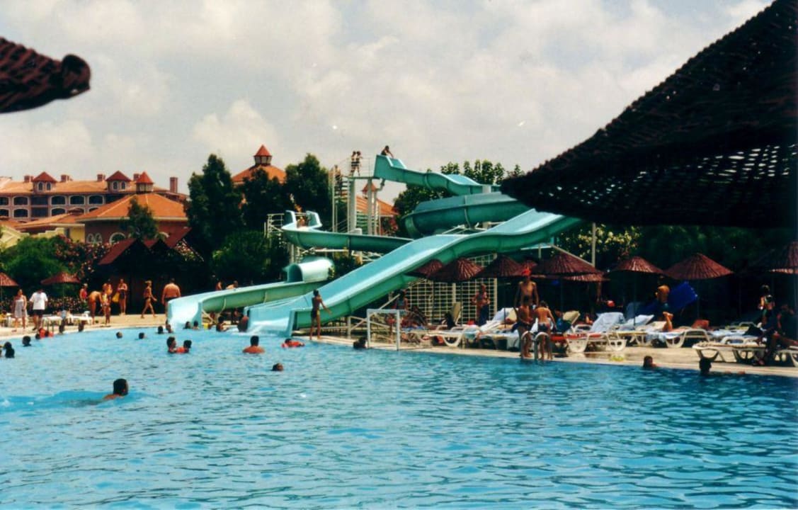 Pool Green Max Hotel