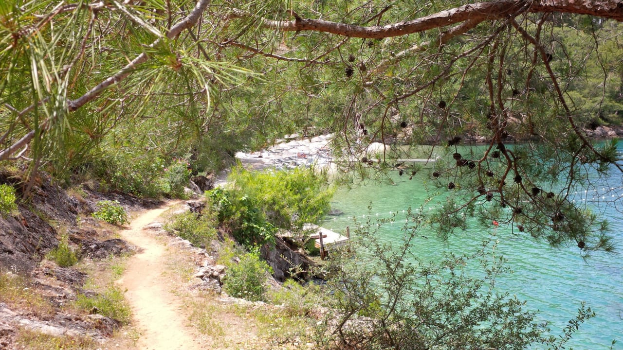 Serenity Beach  Hillside Beach Club