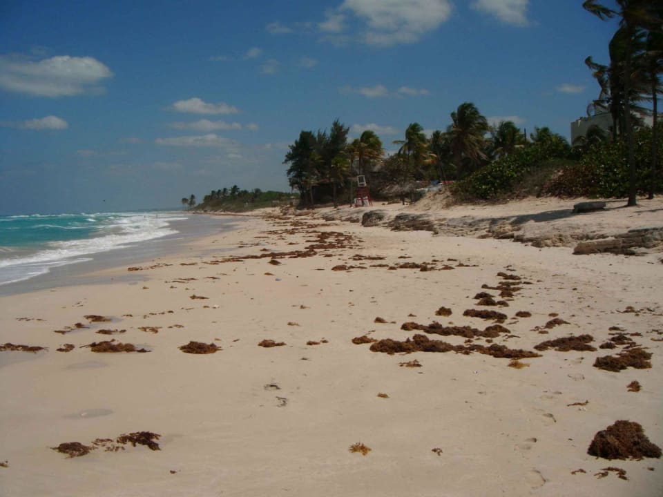 Vor der Reinigung; rechts das Hotel hinter Palmen Gran Caribe Club Atlantico