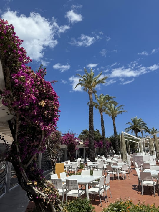 Gastro Almar Timi Ama Resort & Spa