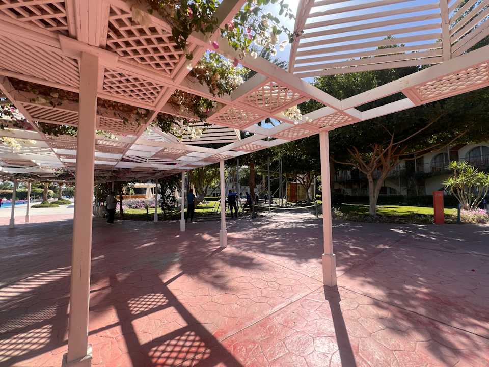 Gartenanlage Desert Rose