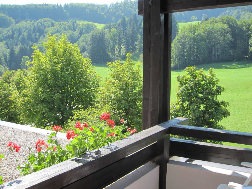 Ausblick Stammhaus Landhotel Maiergschwendt