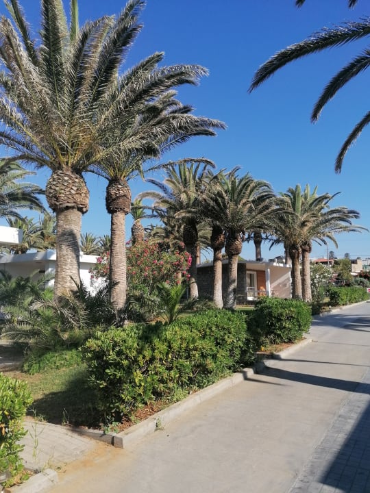 Gartenanlage Civitel Creta Beach