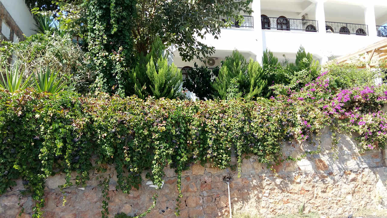Außenansicht La Finca Marina