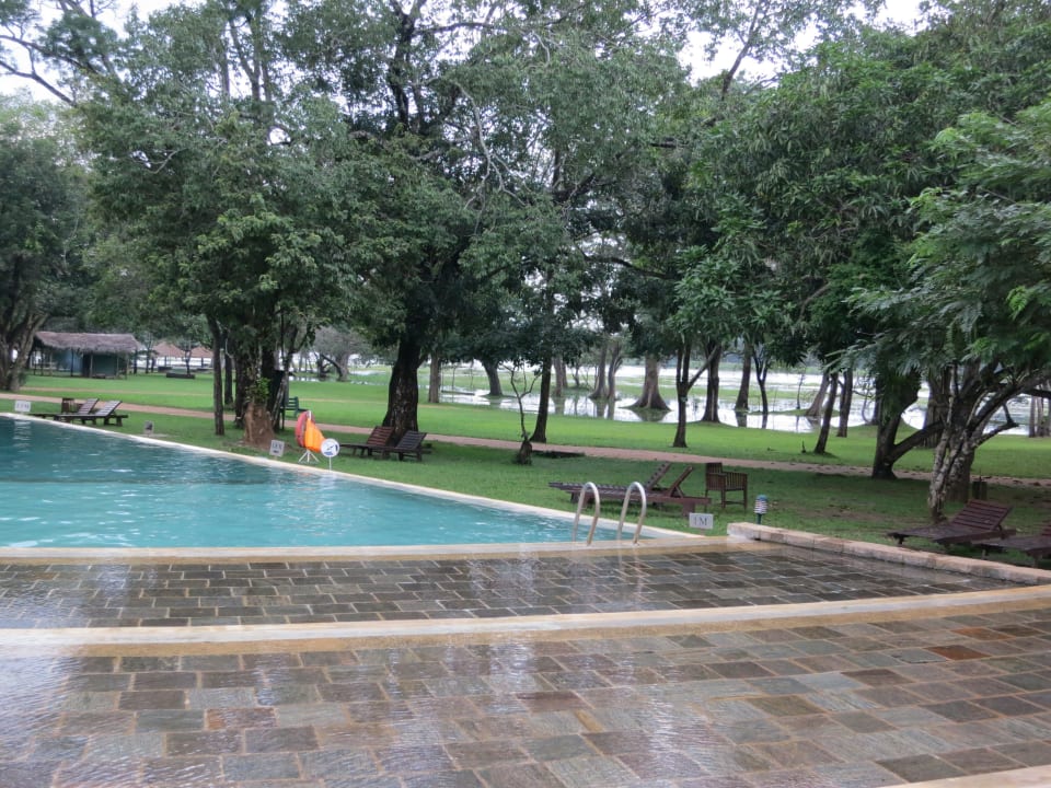 Pool Habarana Village by Cinnamon