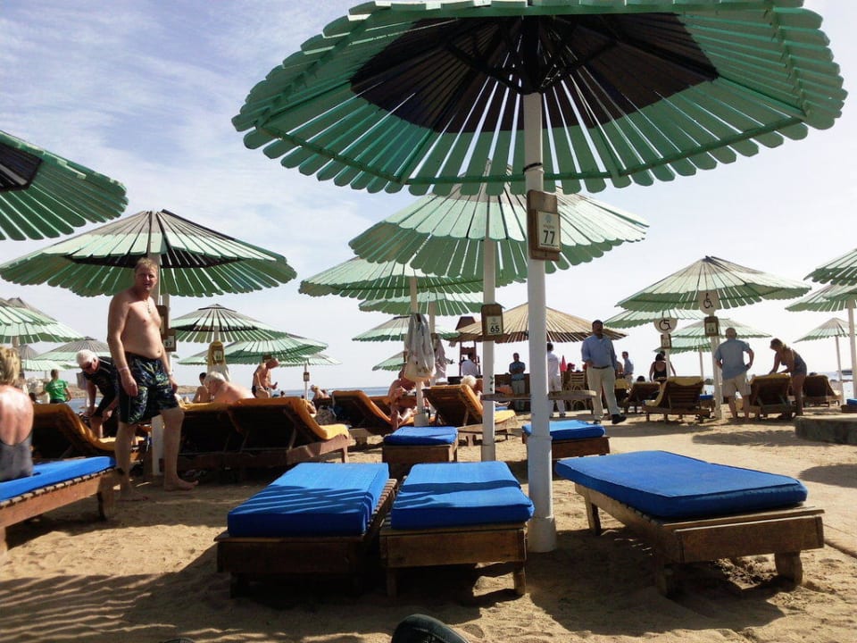 Alt aber schön Ghazala Beach