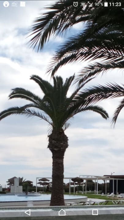 Gartenanlage Iberostar Waves Averroes