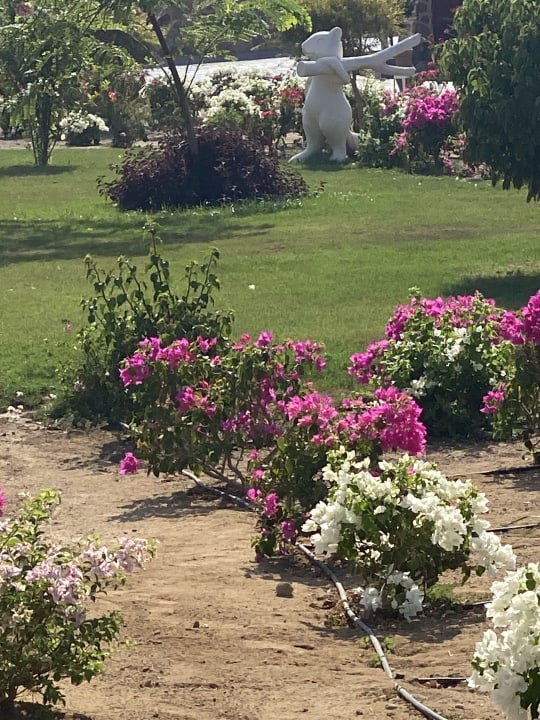 Gartenanlage Pickalbatros Villaggio Resort - Portofino