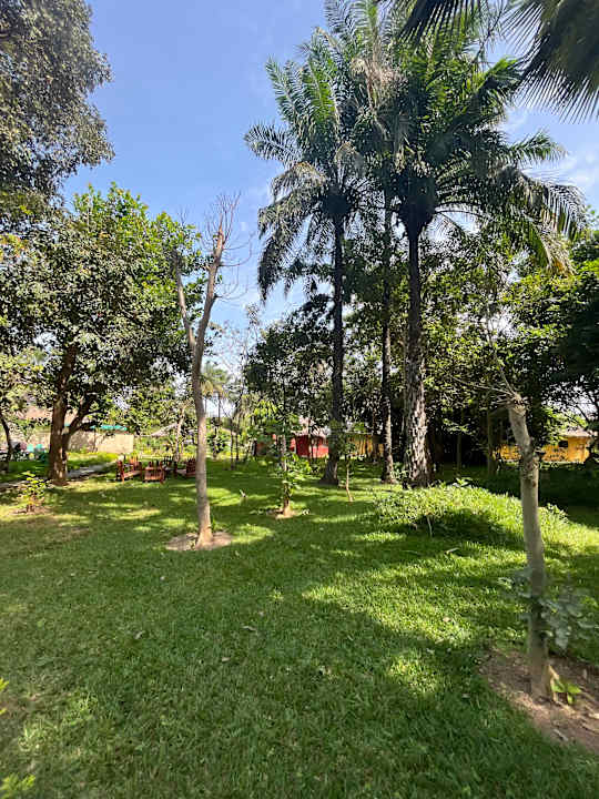 Gartenanlage AbCa's Creek Lodge