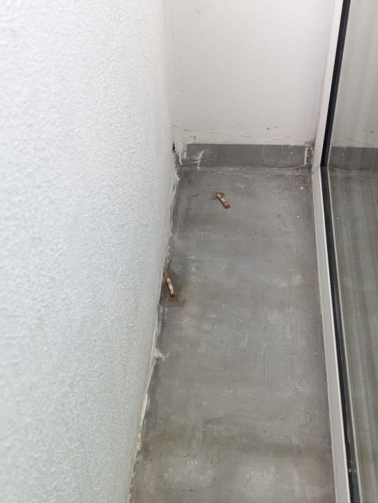 Zimmer Kouros Exclusive