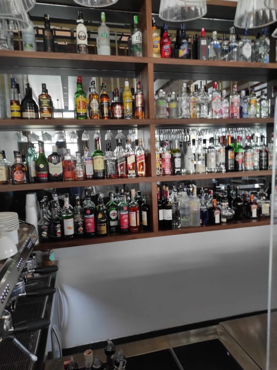 Gastro Acanthus Cennet Barut Collection