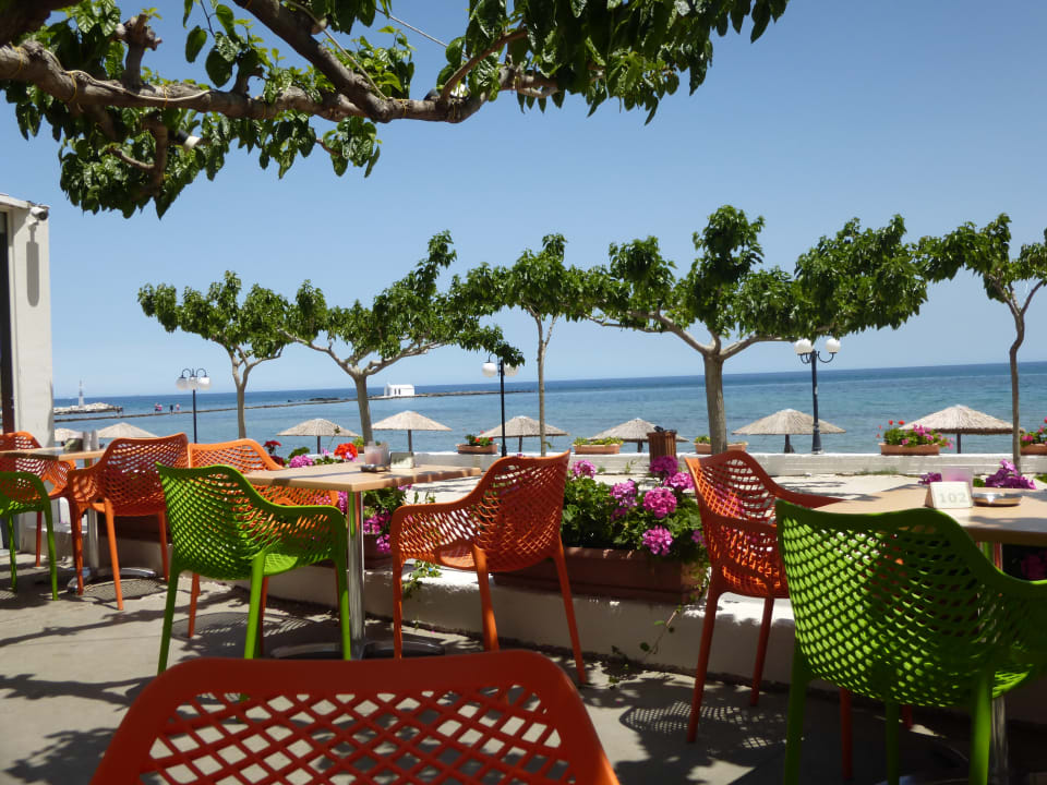 Gartenanlage Harmony Boutique Resort