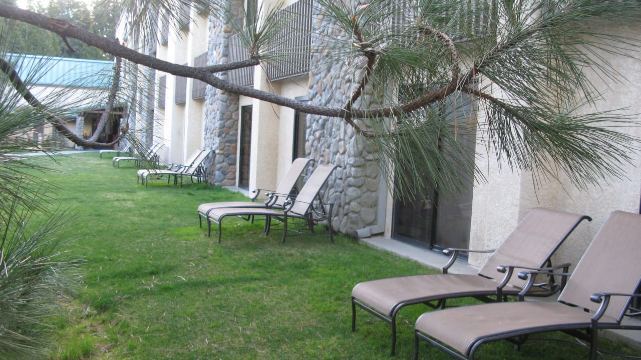 Von unserem Zimmer aus Hotel Tenaya Lodge at Yosemite