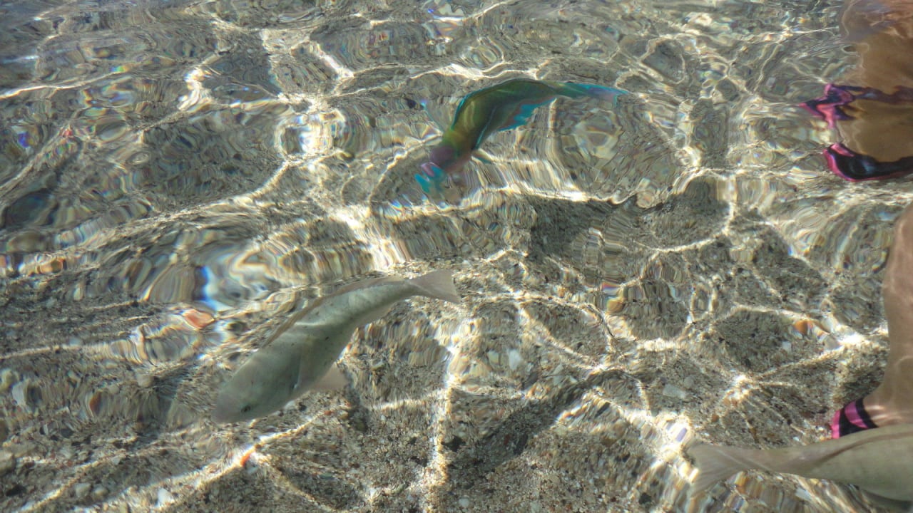 Pied dans l'eau Three Corners Sea Beach Resort