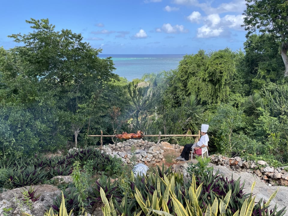 Ausblick Paradisus Rio de Oro Resort & Spa - Adults only