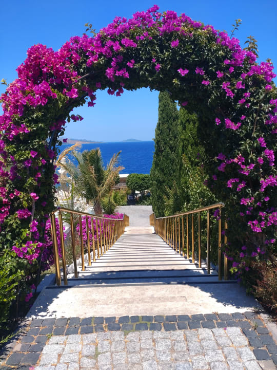 Außenansicht The Plaza Bodrum