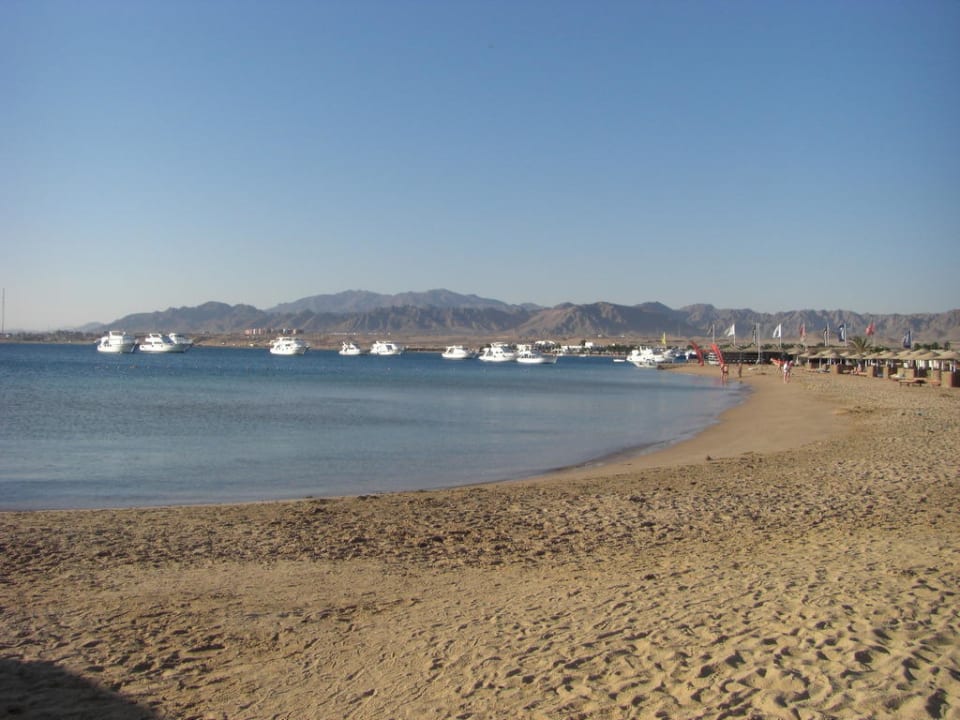 Strand am Morgen Eagles Paradise Abu Soma