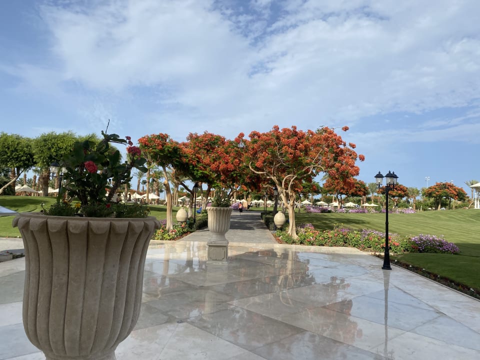 Gartenanlage Steigenberger ALDAU Beach Hotel