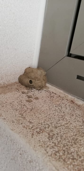 Zimmer Porto Bello Beach