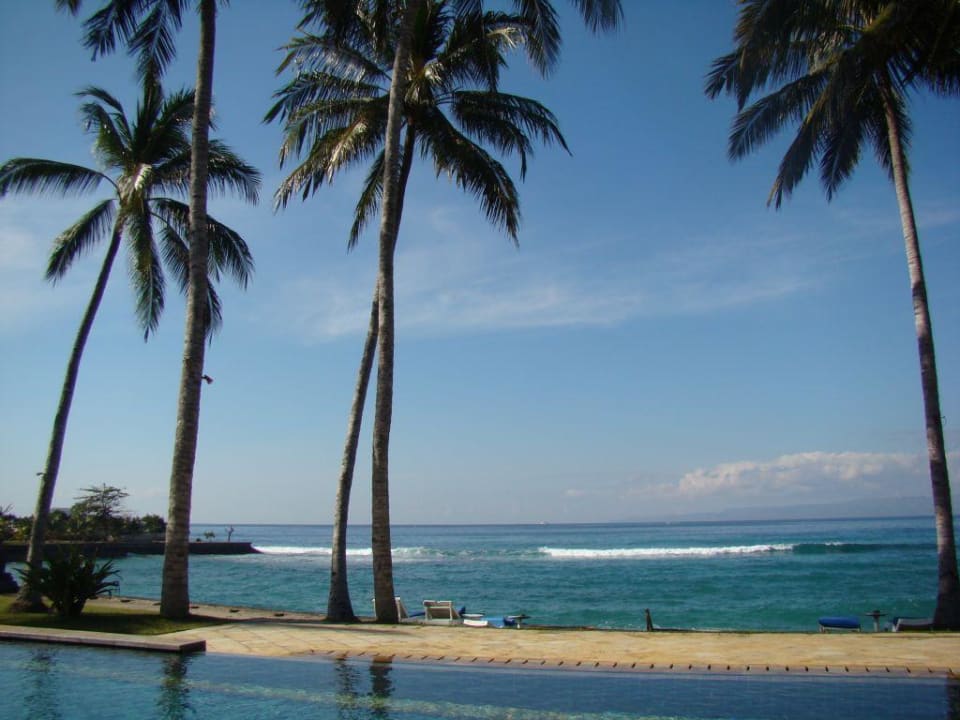 Delphinpool Candi Beach Resort and Spa