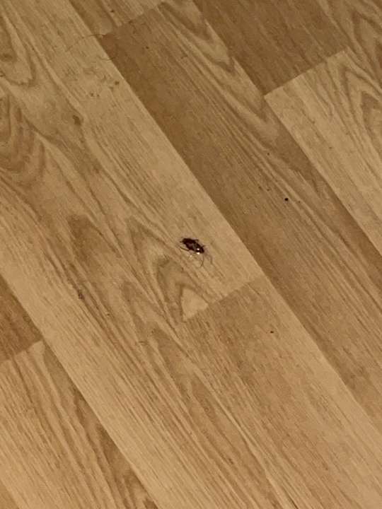 Zimmer hoteliving Duisburg-Moers