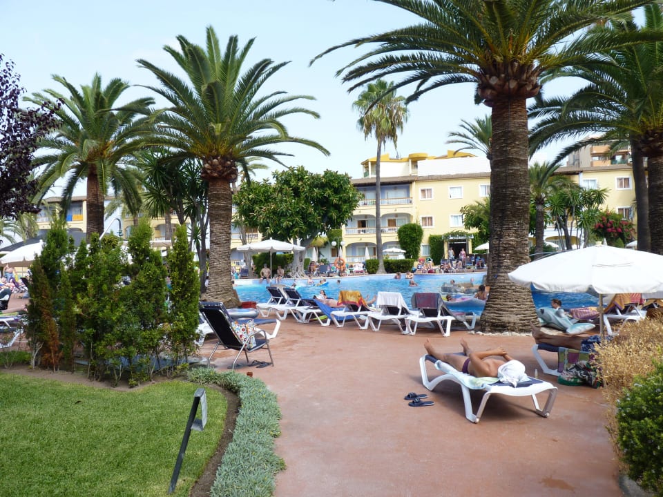 Garten Alcudia Garden Aparthotel