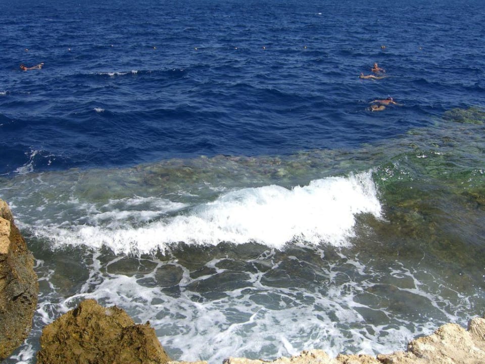 Hausriff The Grand Hotel Sharm El Sheikh