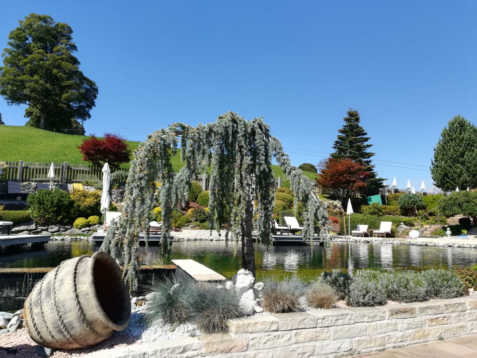 "Gartenanlage mit Naturpoo..." Hotel Schwaigerhof (Schladming