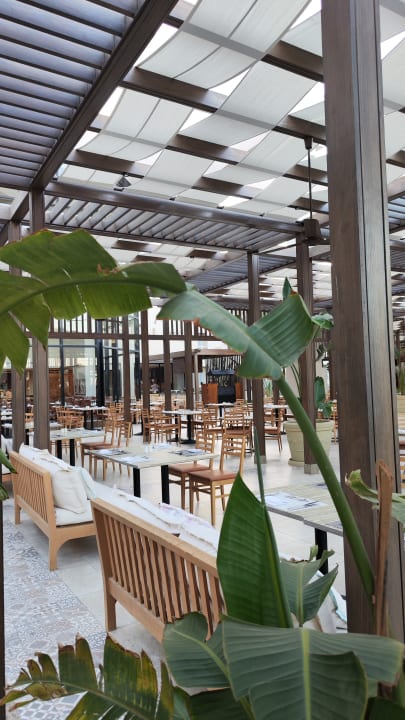 Gastro JAZ Elite Casa del Mar Beach