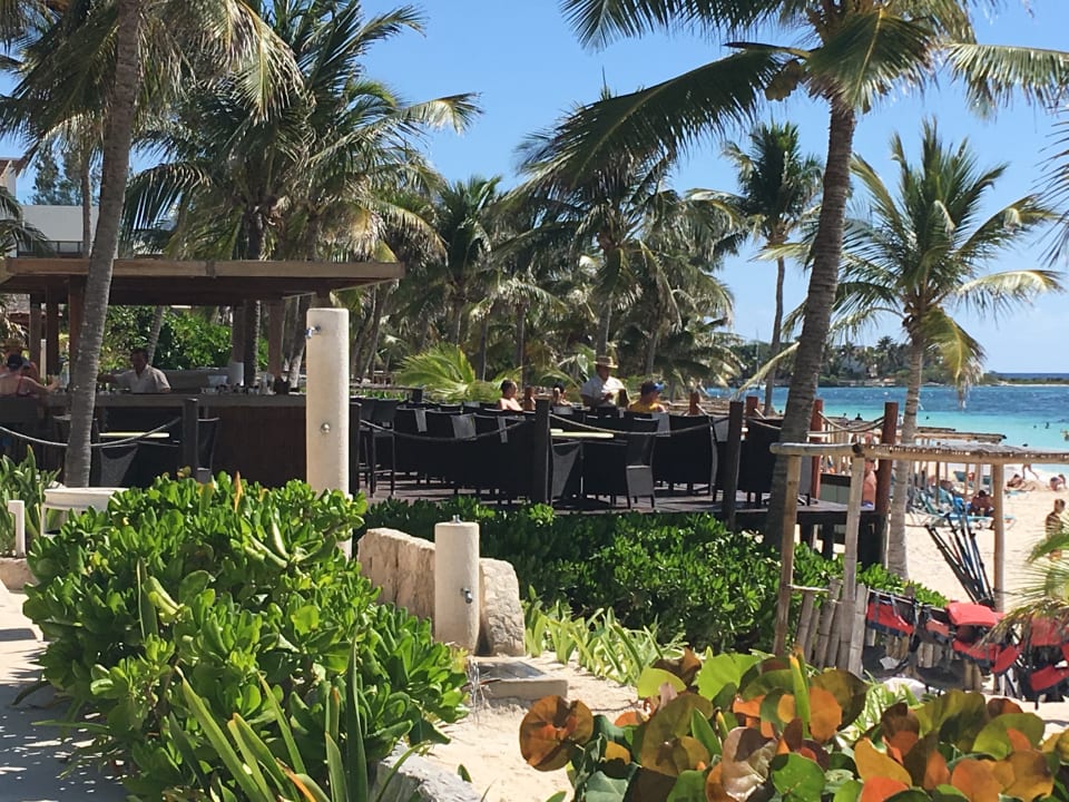 Gastro Akumal Bay Beach & Wellness Resort