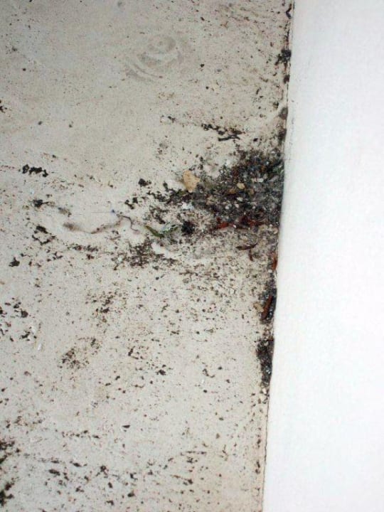 Innenhof Aparthotel Costa Mar