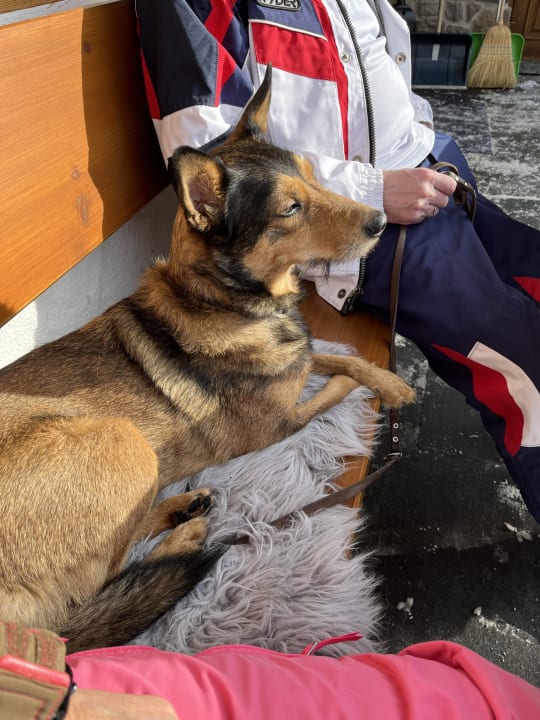 Sonstiges Gästehaus Wiesengrund - daHEIM auf der Riezler Höh'!