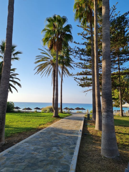 Gartenanlage Hotel Nissi Beach Resort