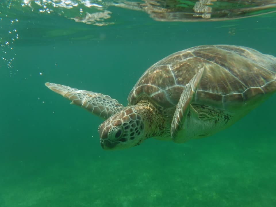 Strand Akumal Bay Beach & Wellness Resort