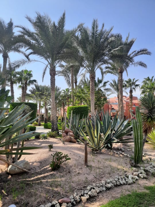 Gartenanlage TUI MAGIC LIFE Redsina Sharm El Sheikh