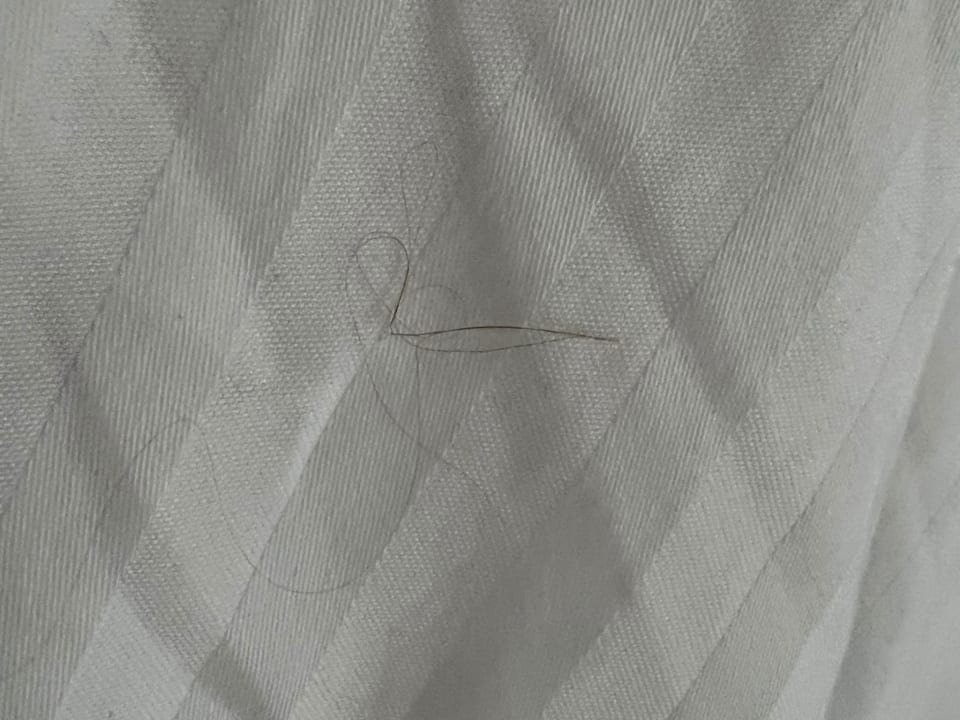 Zimmer Hotel Viva Dominicus Beach by Wyndham - All Inclusive Resort