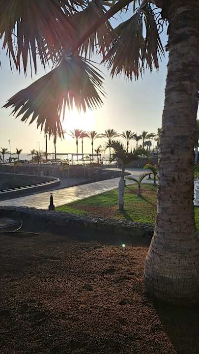 Ausblick Hotel Riu Buenavista